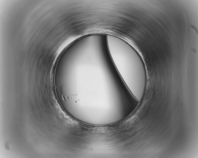 X0000103281053200808291041