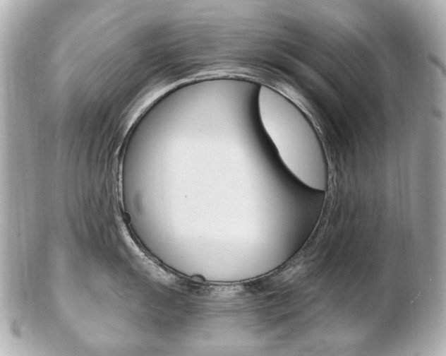 X0000103281055200808291041