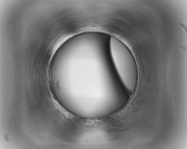 X0000103281056200808291041