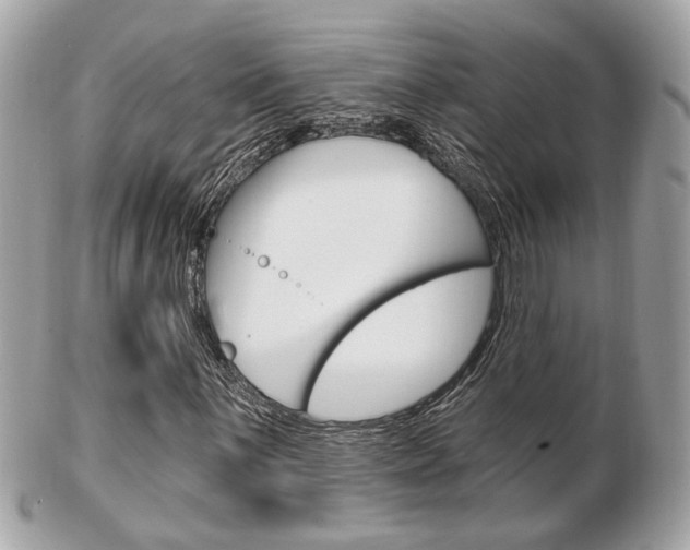 X0000103281059200808291041