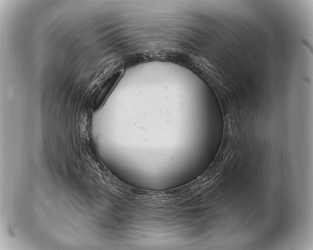 X0000103281060200808291041