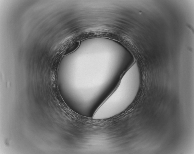 X0000103281062200808291041