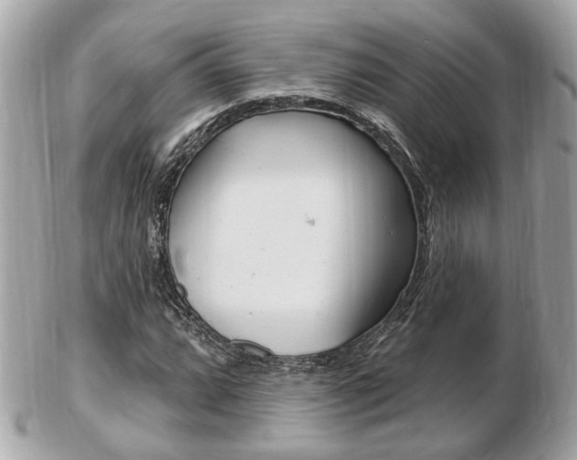 X0000103281064200808291040