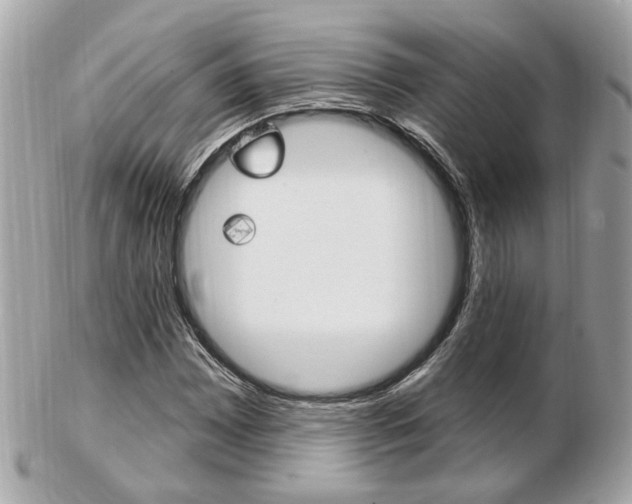 X0000103281065200808291040