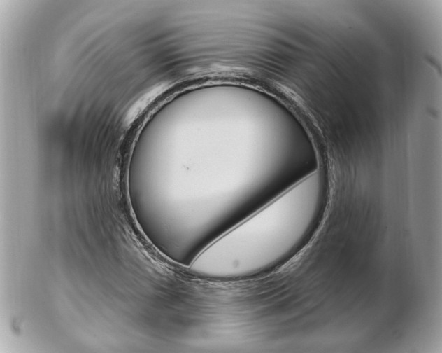 X0000103281066200808291040