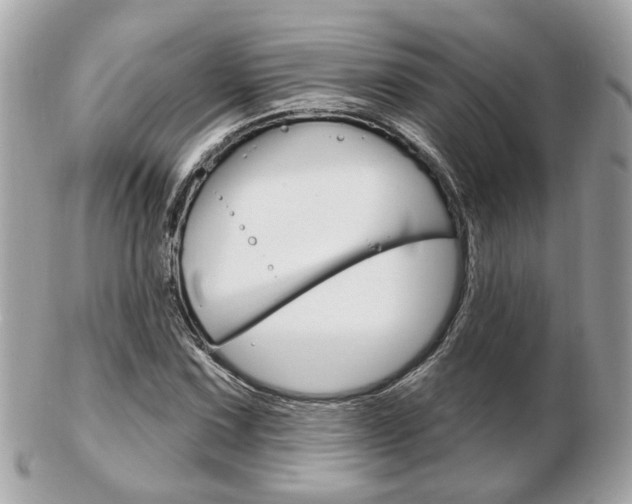 X0000103281067200808291040
