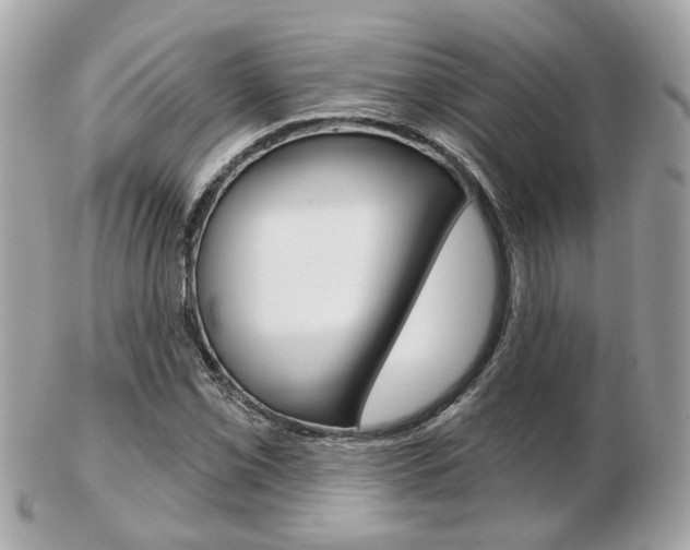 X0000103281069200808291040