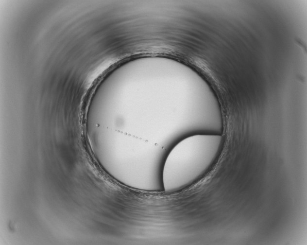 X0000103281071200808291040
