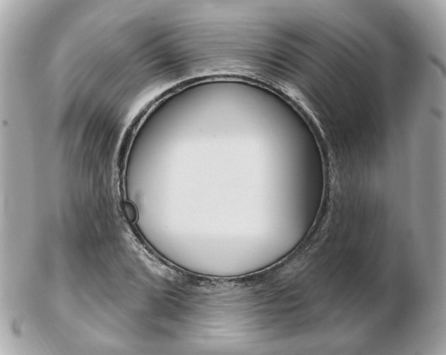 X0000103281072200808291040