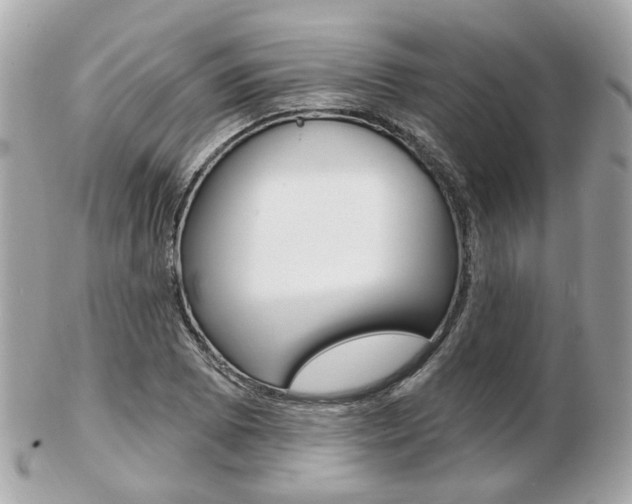 X0000103281073200808291040