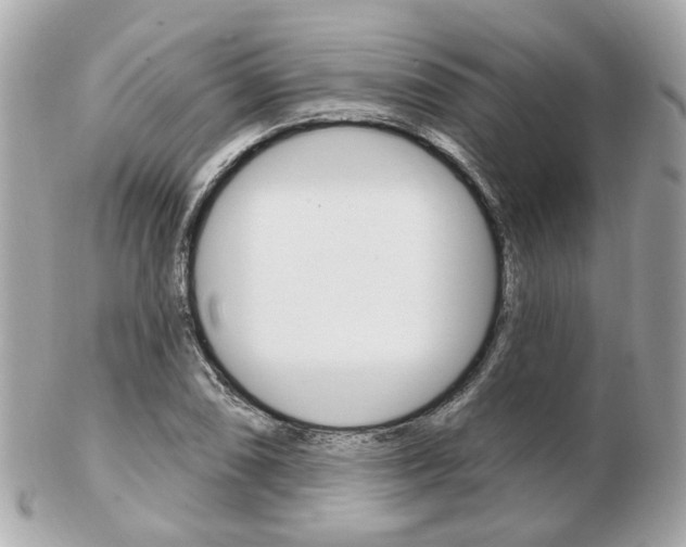X0000103281074200808291040