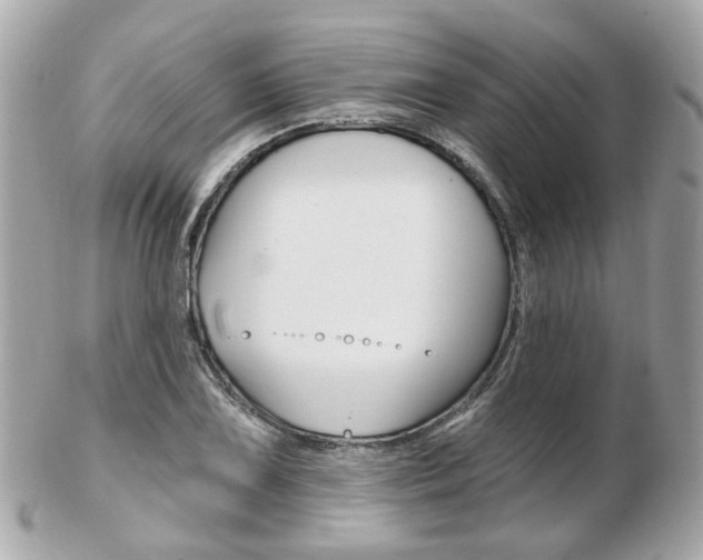 X0000103281075200808291040