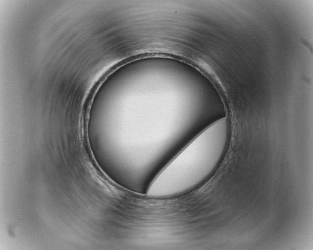 X0000103281076200808291040