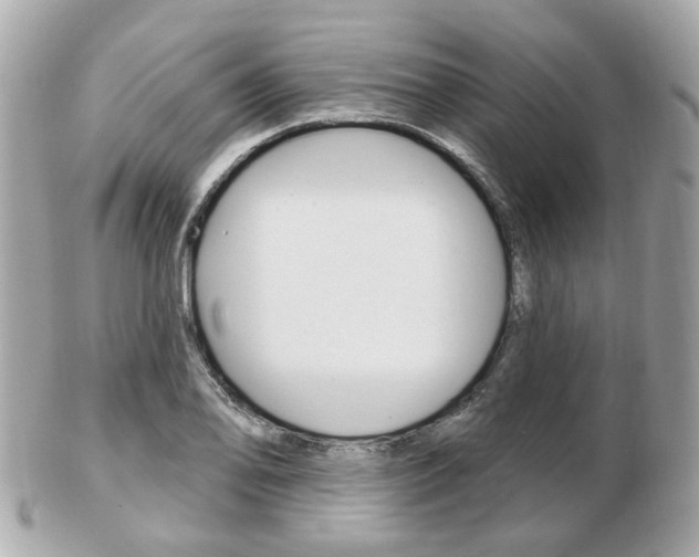 X0000103281078200808291040