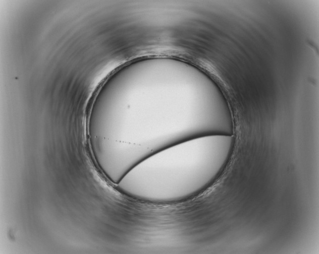 X0000103281079200808291040