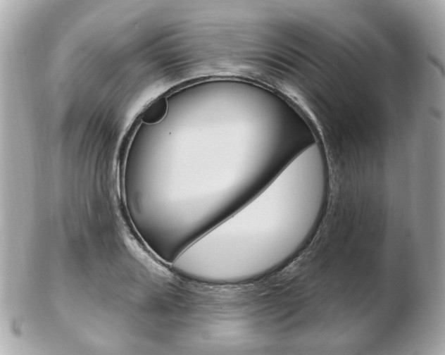 X0000103281080200808291040
