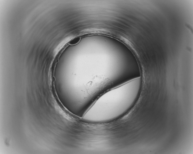 X0000103281082200808291040