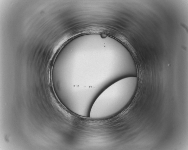 X0000103281083200808291040