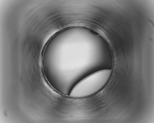 X0000103281084200808291040