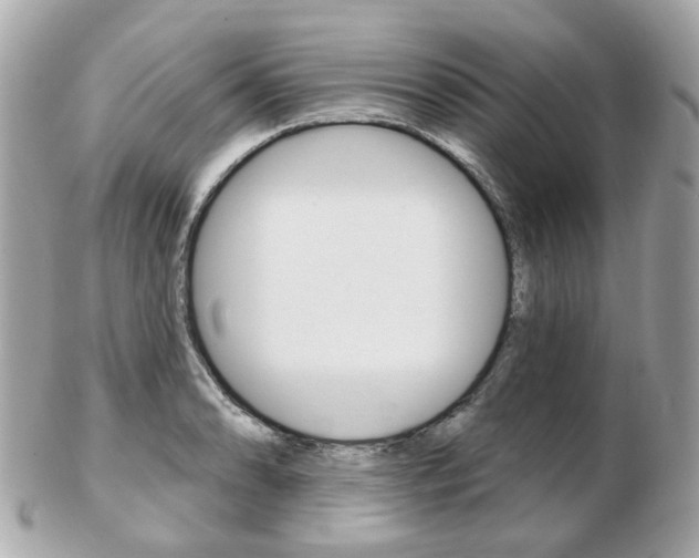 X0000103281086200808291040