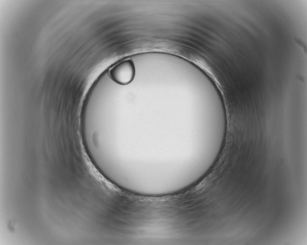 X0000103281088200808291040