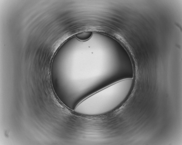 X0000103281089200808291040