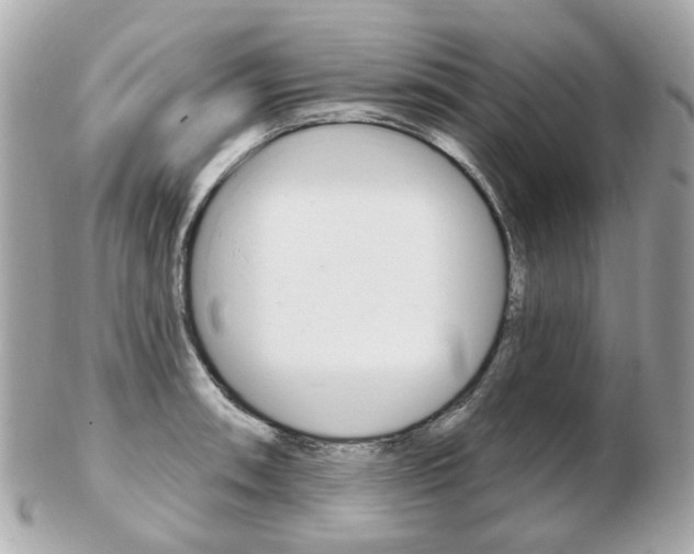 X0000103281090200808291040