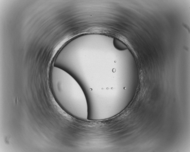 X0000103281091200808291040