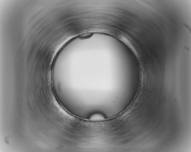 X0000103281092200808291040