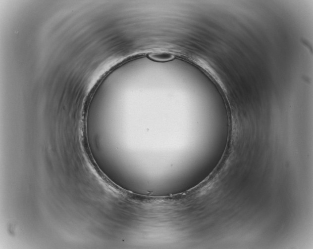 X0000103281093200808291040