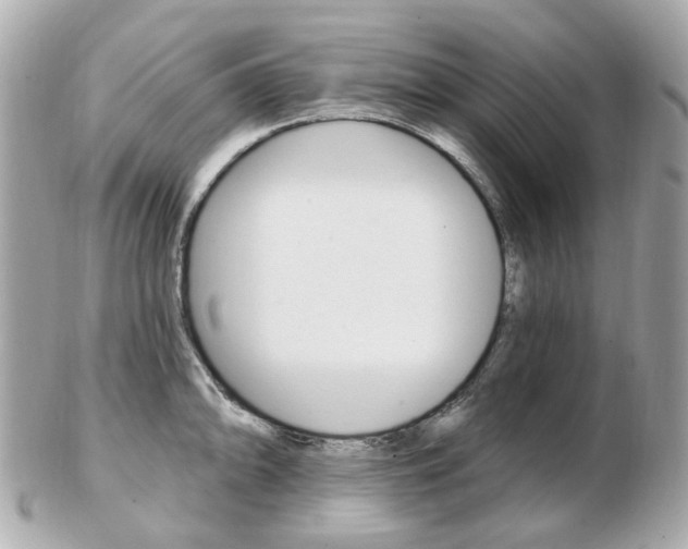 X0000103281094200808291040