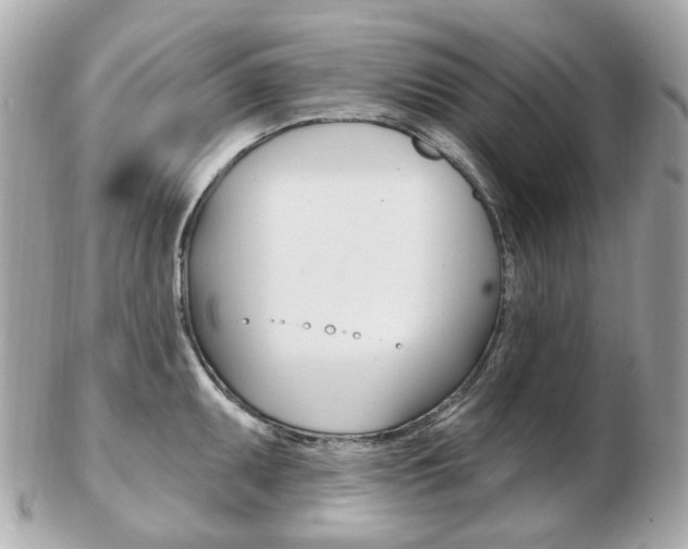 X0000103281095200808291040