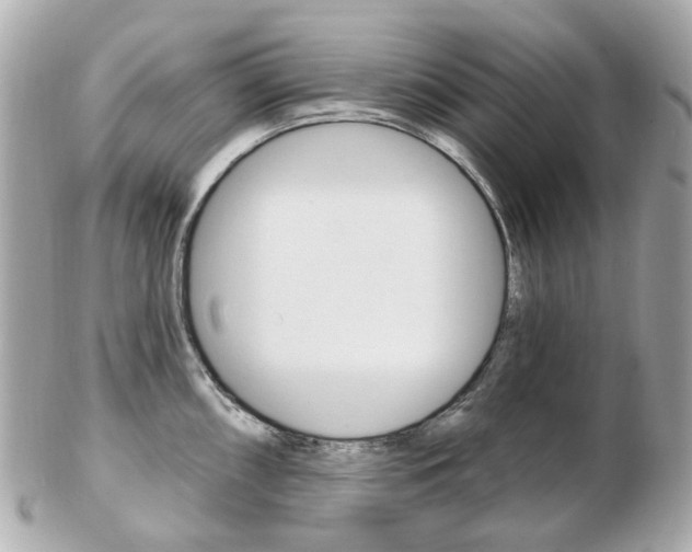 X0000103281098200808291040
