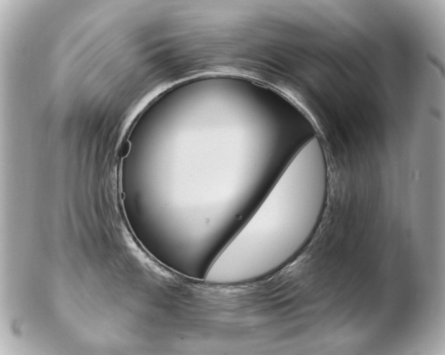 X0000103281100200808291040