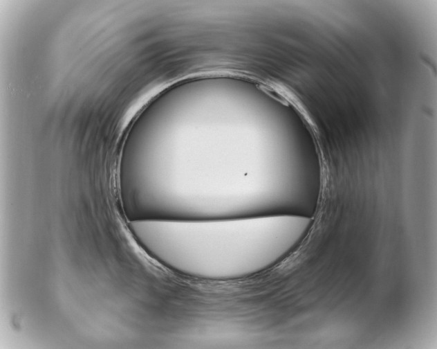 X0000103281101200808291040
