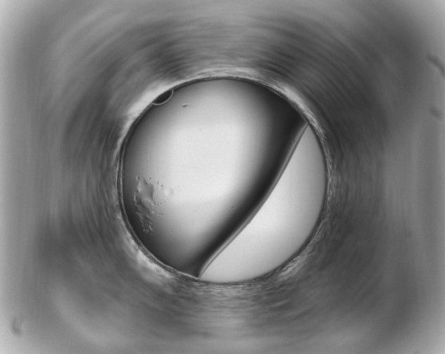 X0000103281102200808291040