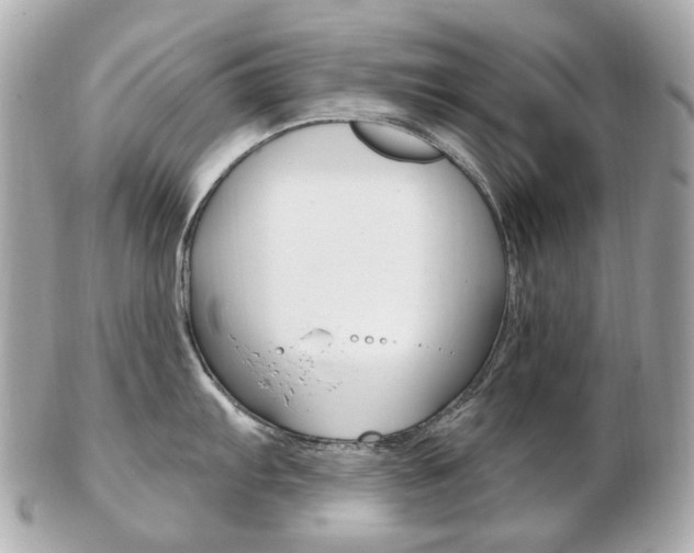 X0000103281103200808291040