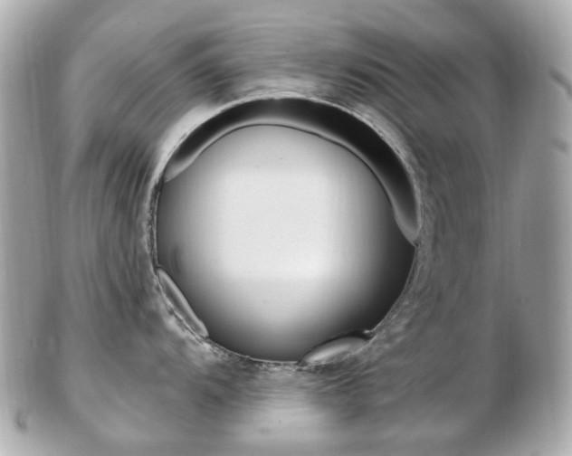X0000103281104200808291040