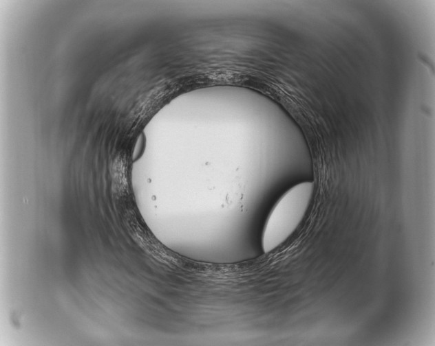 X0000103281106200808291039