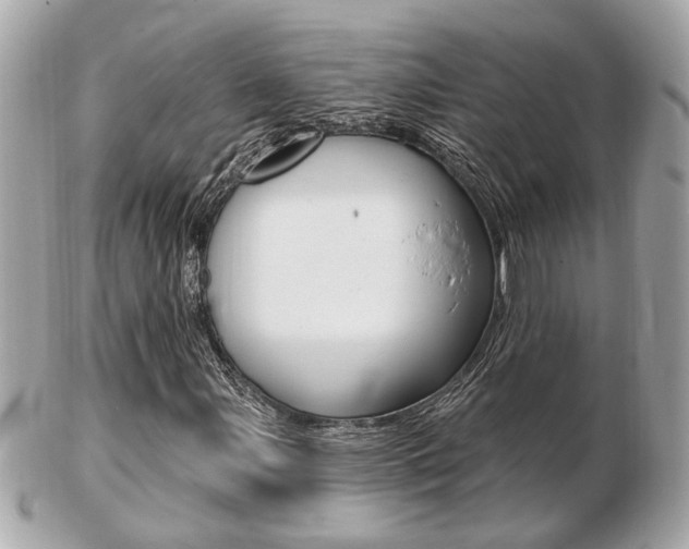 X0000103281107200808291039
