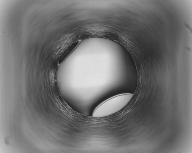 X0000103281108200808291039