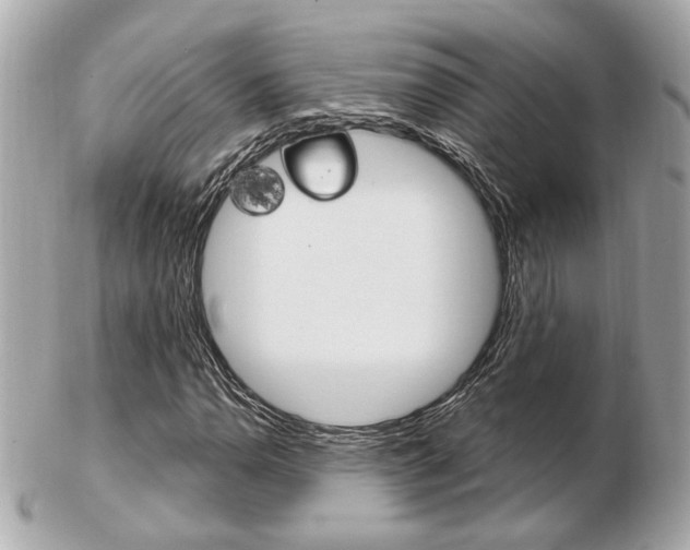 X0000103281110200808291039