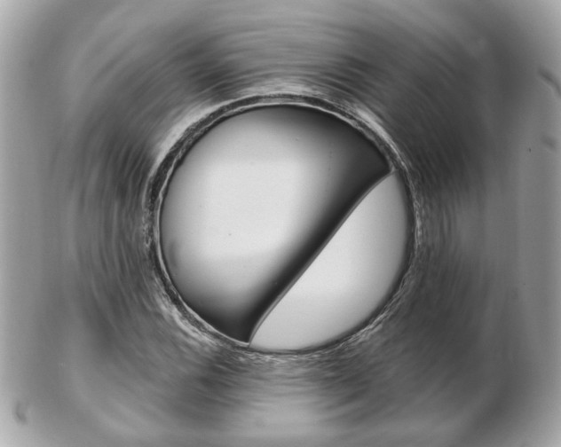 X0000103281116200808291039