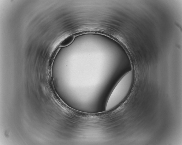 X0000103281119200808291039