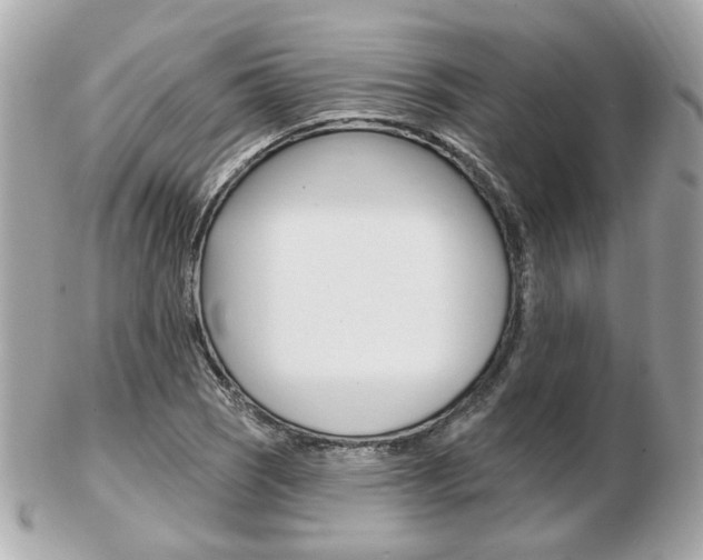 X0000103281121200808291039