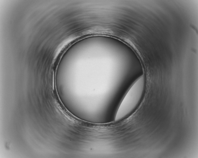 X0000103281123200808291040