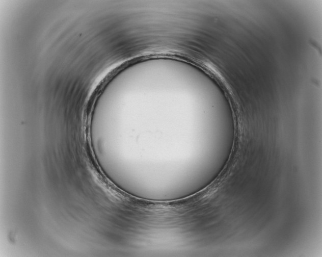 X0000103281124200808291040