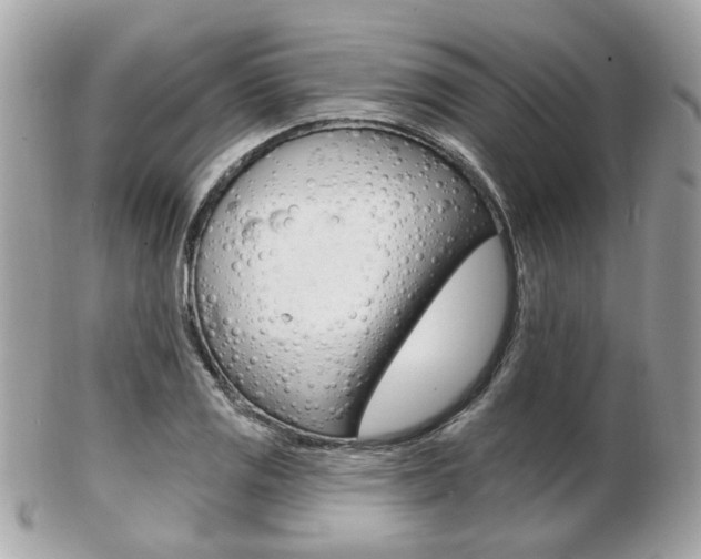 X0000103281125200808291040