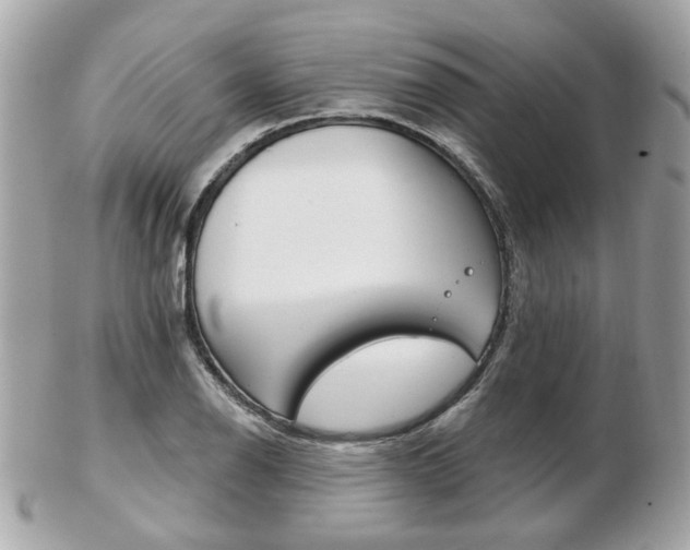 X0000103281126200808291040