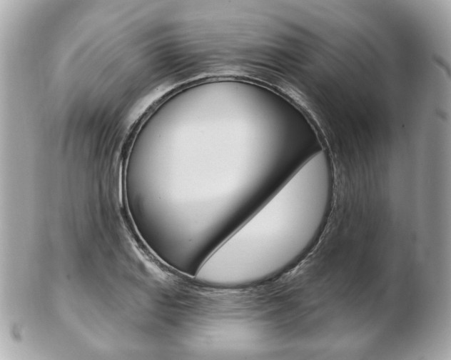 X0000103281127200808291040
